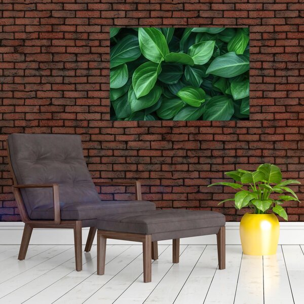 Slika - Zeleno lišće (90x60 cm)