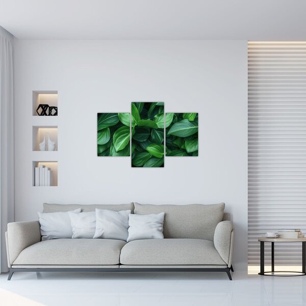 Slika - Zeleno lišće (90x60 cm)