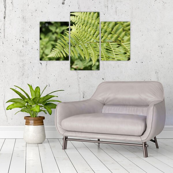 Slika - List paprati (90x60 cm)