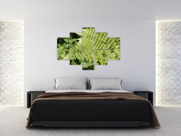 Slika - List paprati (150x105 cm)