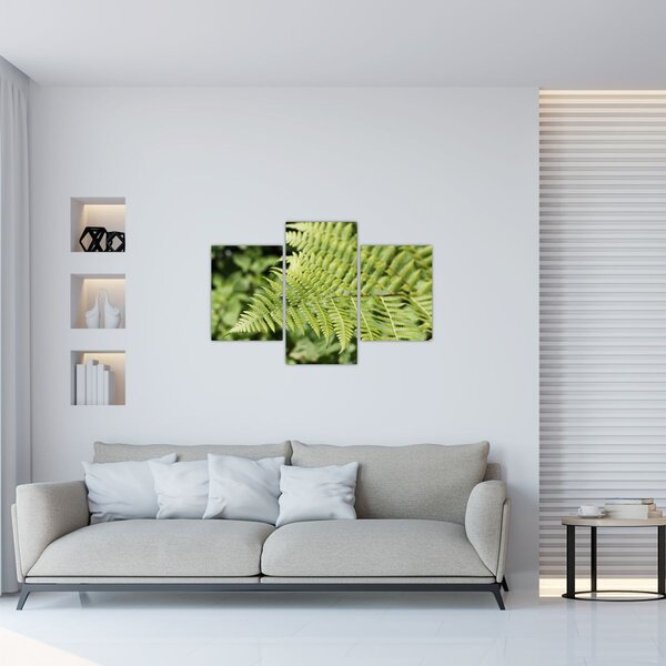 Slika - List paprati (90x60 cm)