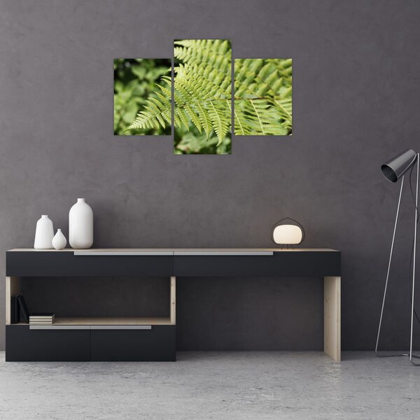 Slika - List paprati (90x60 cm)
