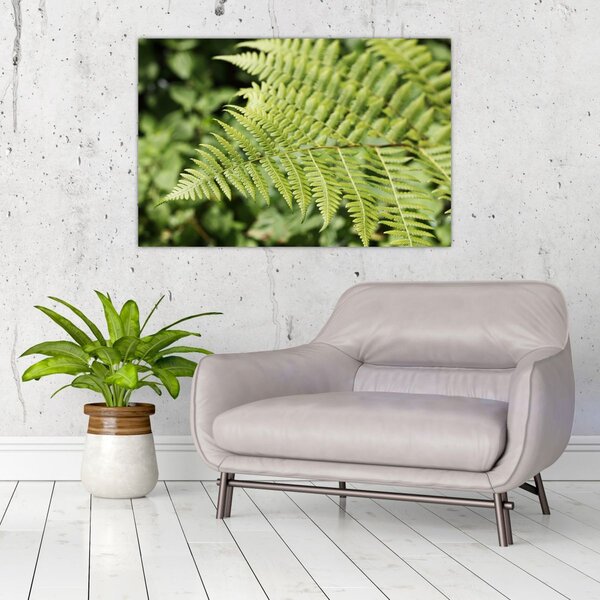 Slika - List paprati (90x60 cm)