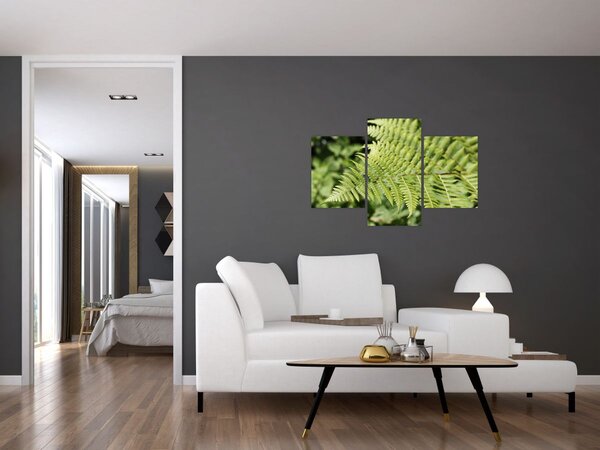Slika - List paprati (90x60 cm)