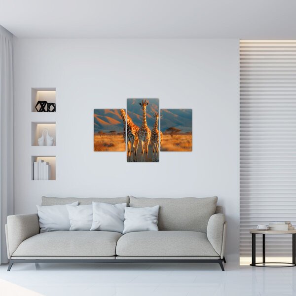 Slika - Žirafe na pašnjaku (90x60 cm)