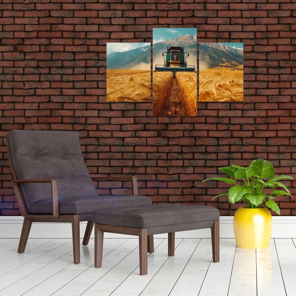 Slika - Seljak (90x60 cm)
