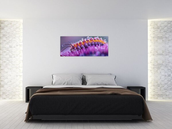 Slika - Gusjenica (120x50 cm)