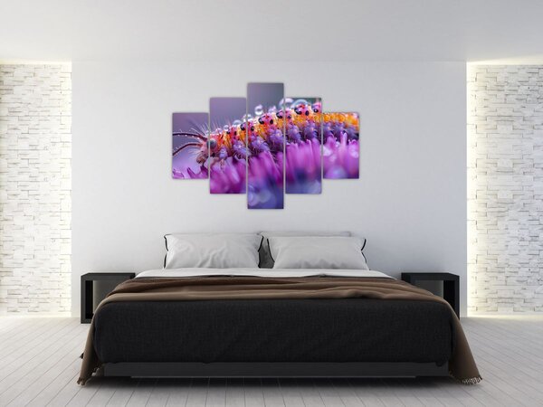 Slika - Gusjenica (150x105 cm)