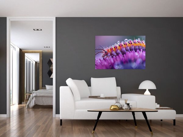 Slika - Gusjenica (90x60 cm)