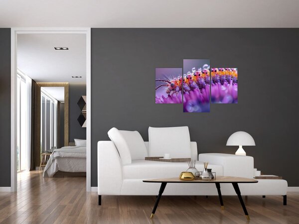 Slika - Gusjenica (90x60 cm)