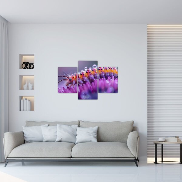 Slika - Gusjenica (90x60 cm)