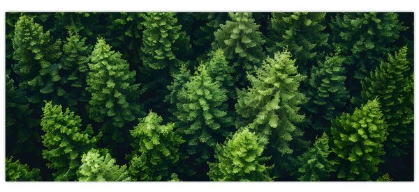 Slika - Šuma (120x50 cm)