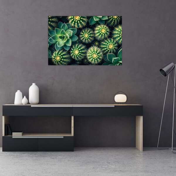 Slika - Kaktusi (90x60 cm)