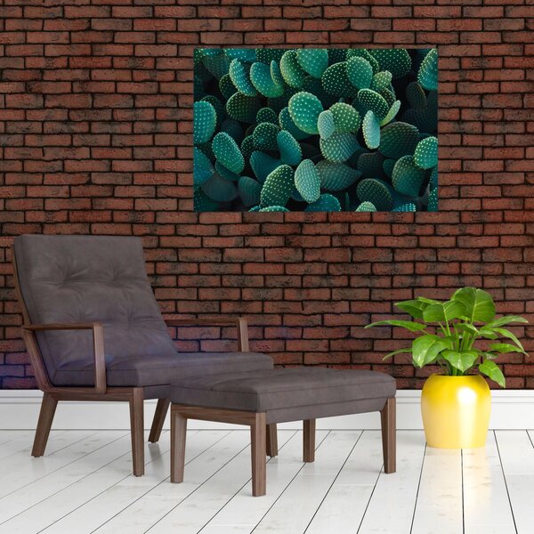 Slika - Opuntia (90x60 cm)