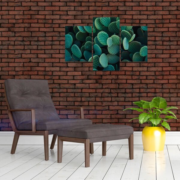 Slika - Opuntia (90x60 cm)