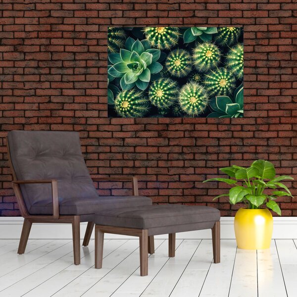Slika - Kaktusi (90x60 cm)