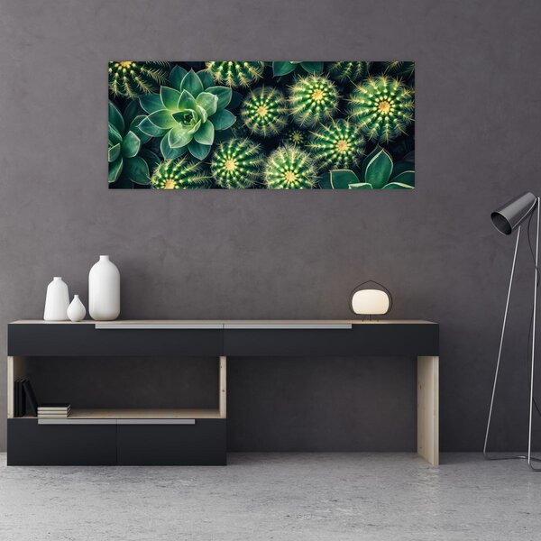 Slika - Kaktusi (120x50 cm)