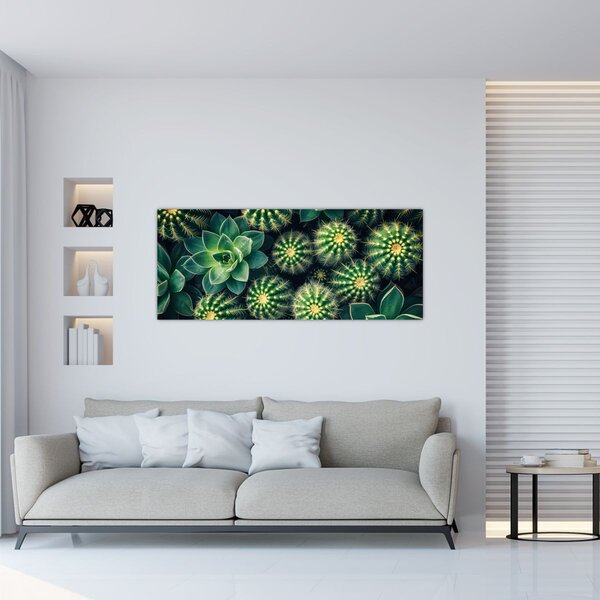 Slika - Kaktusi (120x50 cm)