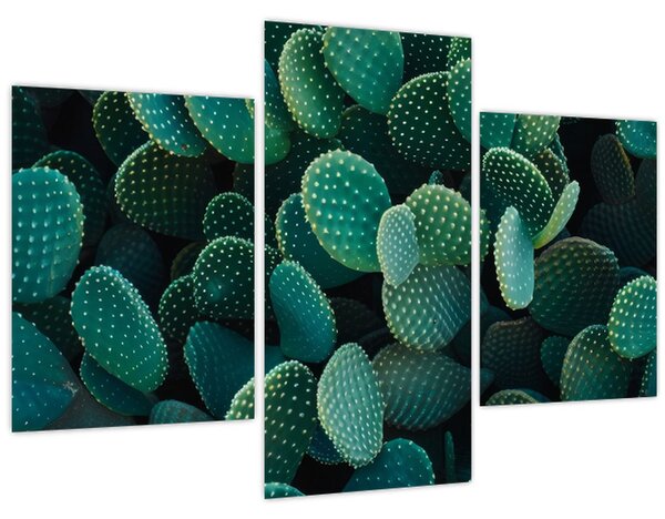 Slika - Opuntia (90x60 cm)