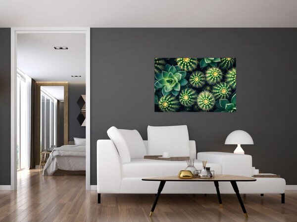 Slika - Kaktusi (90x60 cm)