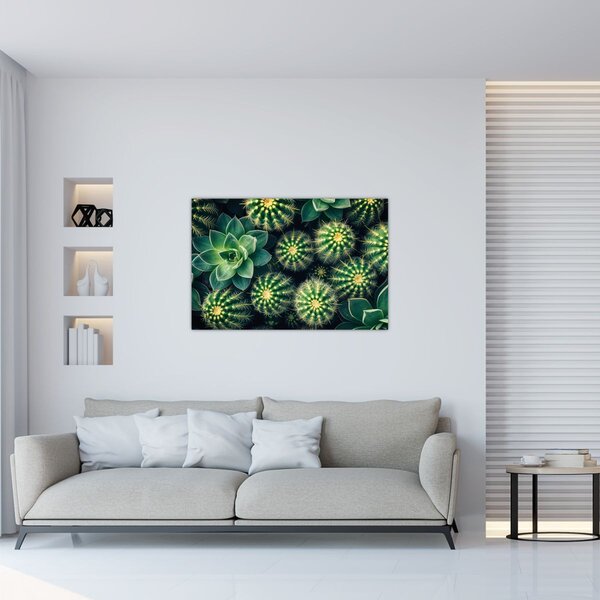 Slika - Kaktusi (90x60 cm)