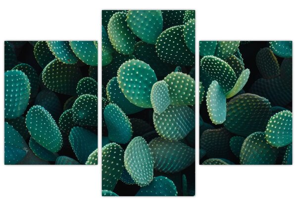 Slika - Opuntia (90x60 cm)