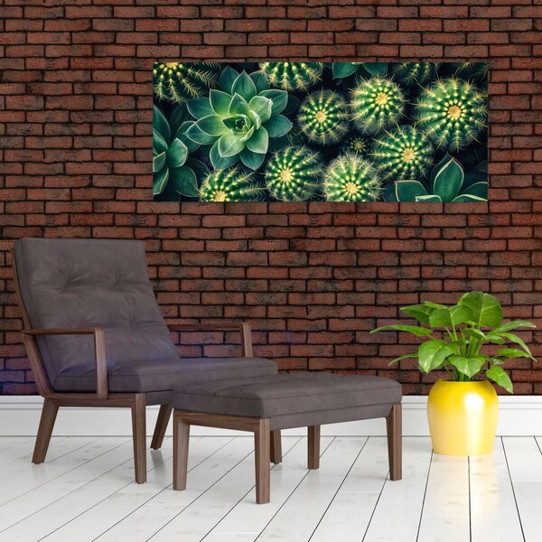 Slika - Kaktusi (120x50 cm)