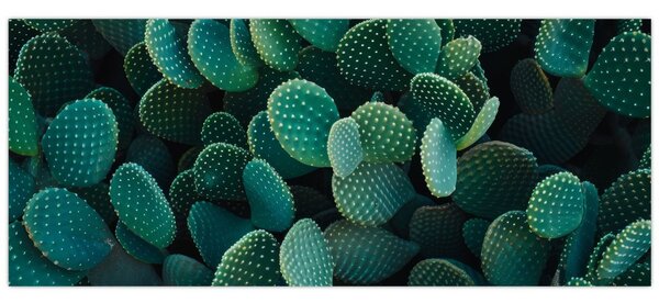 Slika - Opuntia (120x50 cm)