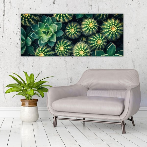 Slika - Kaktusi (120x50 cm)