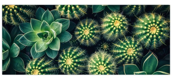 Slika - Kaktusi (120x50 cm)