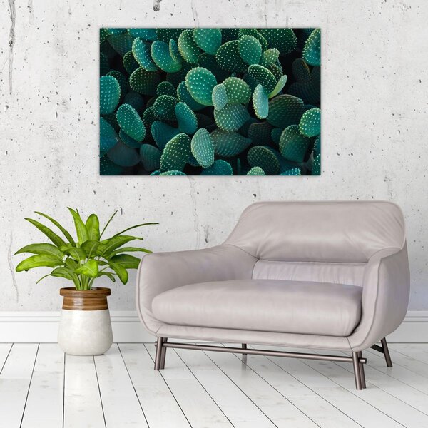 Slika - Opuntia (90x60 cm)