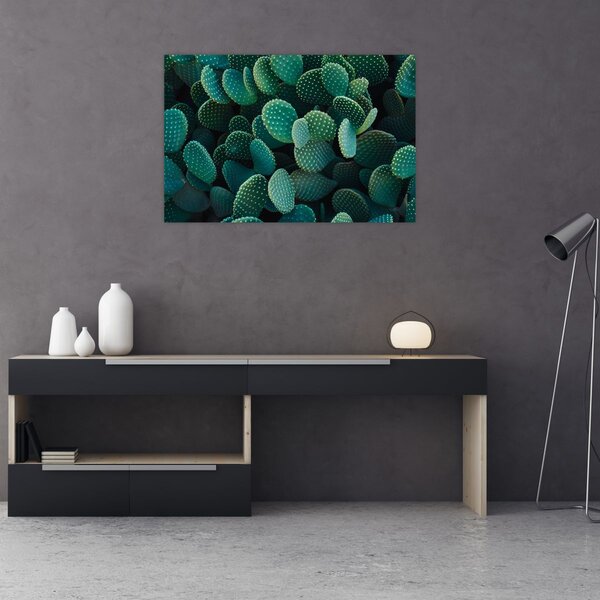 Slika - Opuntia (90x60 cm)