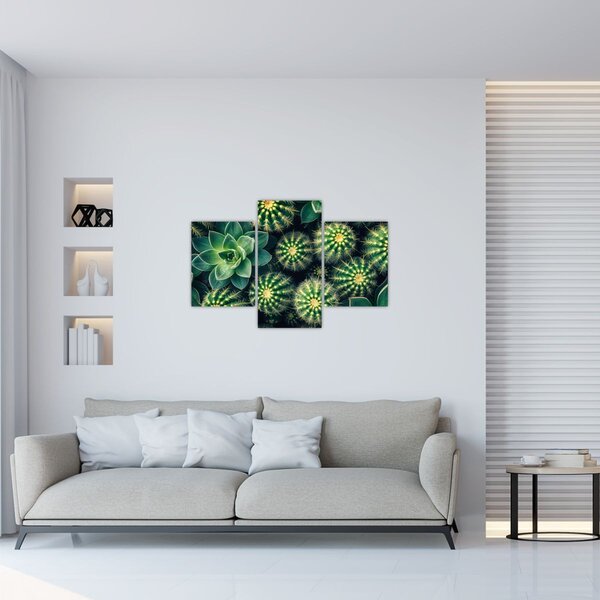 Slika - Kaktusi (90x60 cm)