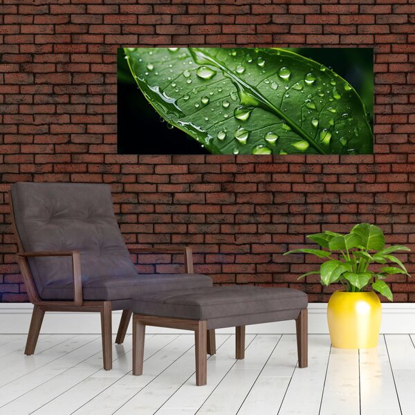 Slika - List poslije kiše (120x50 cm)