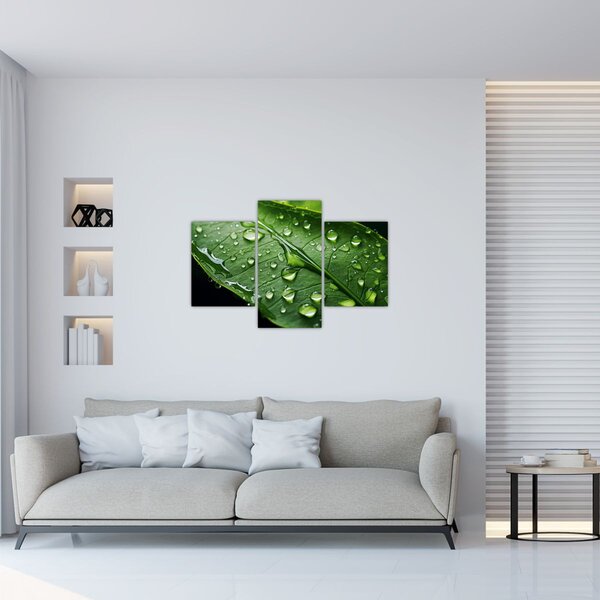 Slika - List poslije kiše (90x60 cm)