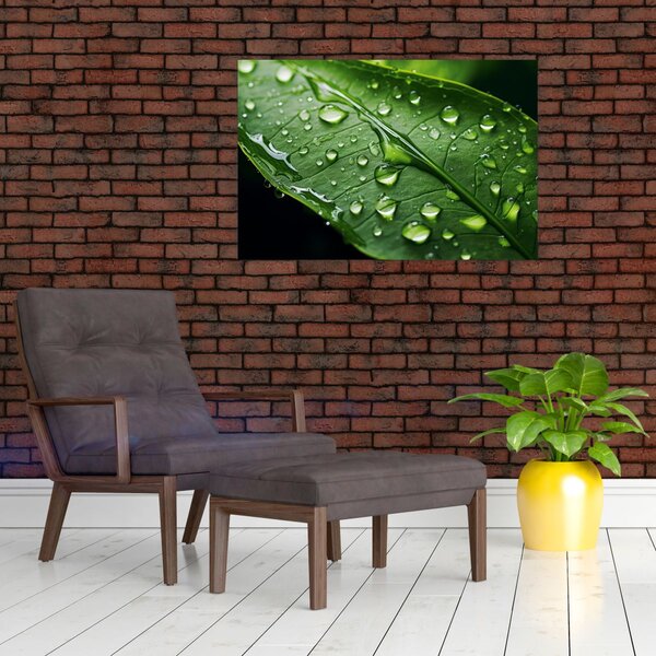 Slika - List poslije kiše (90x60 cm)