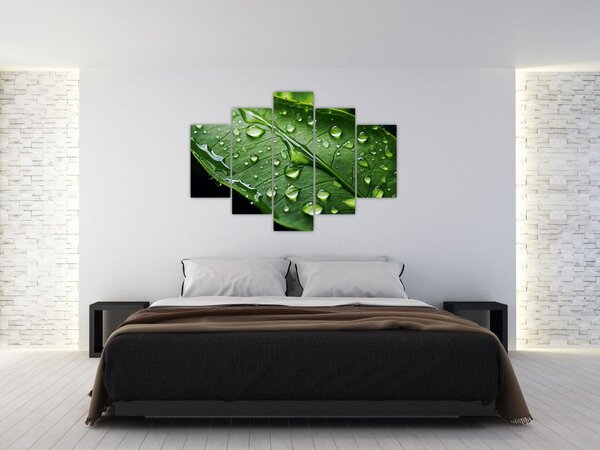 Slika - List poslije kiše (150x105 cm)