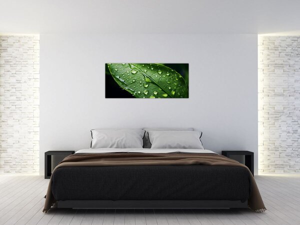 Slika - List poslije kiše (120x50 cm)