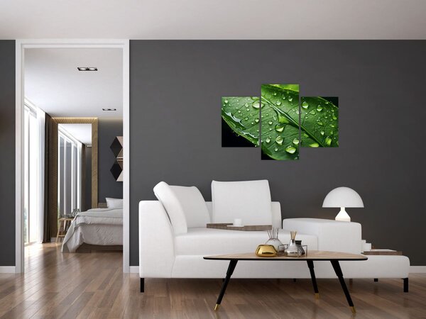 Slika - List poslije kiše (90x60 cm)
