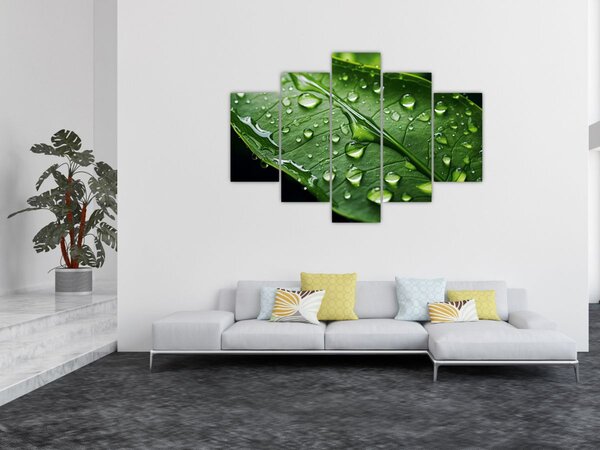 Slika - List poslije kiše (150x105 cm)