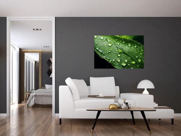 Slika - List poslije kiše (90x60 cm)