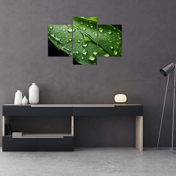 Slika - List poslije kiše (90x60 cm)