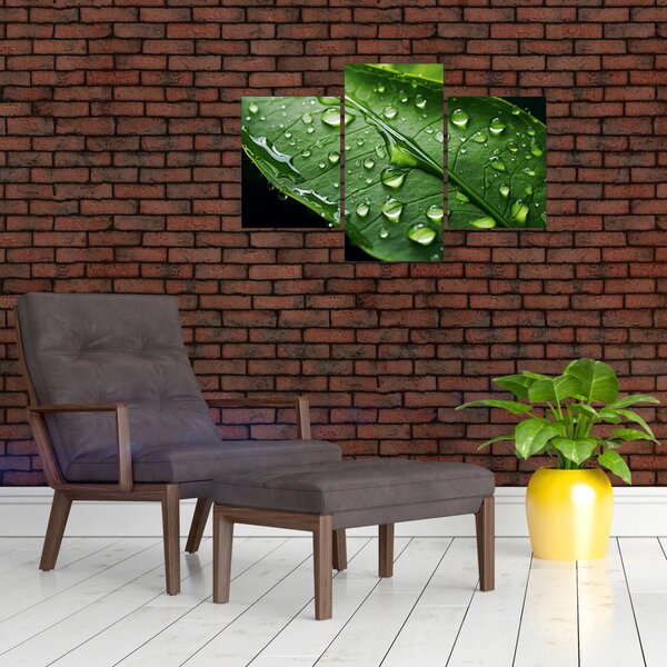 Slika - List poslije kiše (90x60 cm)