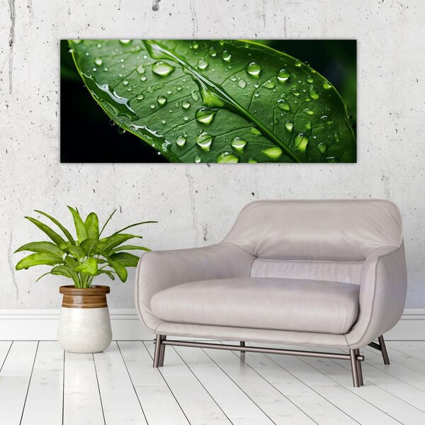 Slika - List poslije kiše (120x50 cm)