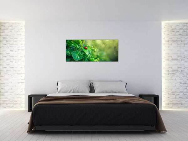 Slika - Bubamara (120x50 cm)