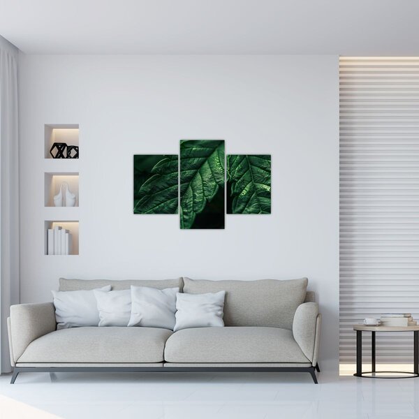 Slika - Detalj lista (90x60 cm)