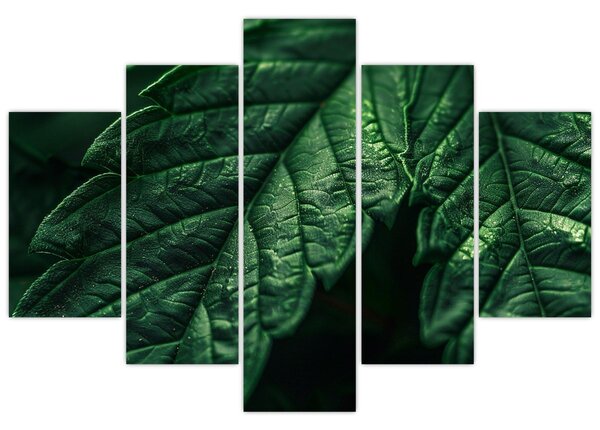 Slika - Detalj lista (150x105 cm)