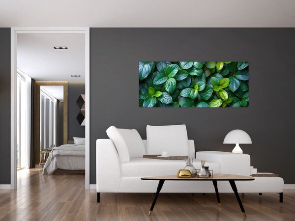 Slika - Zelene biljke (120x50 cm)