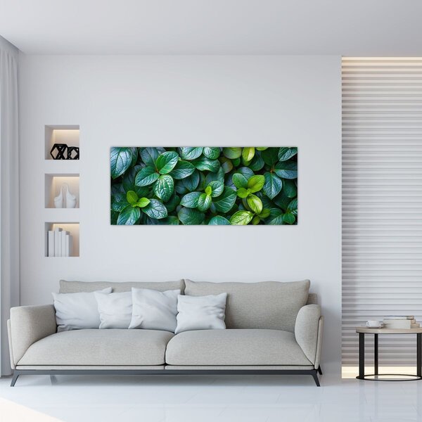 Slika - Zelene biljke (120x50 cm)