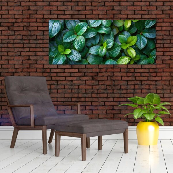 Slika - Zelene biljke (120x50 cm)